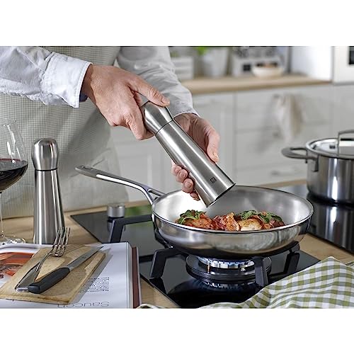 Zwilling Spices macinapepe acciaio grigio 20 cm ceramica
