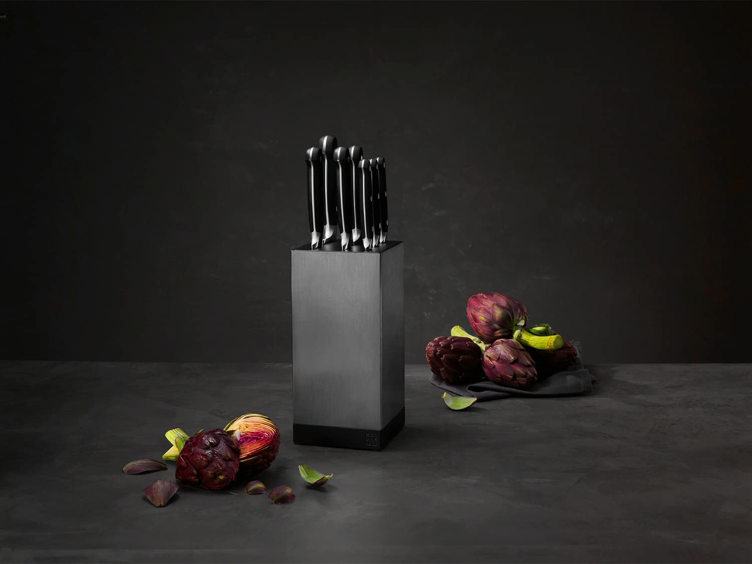 Zwilling Ceppi coltelli blocco alluminio vuoto