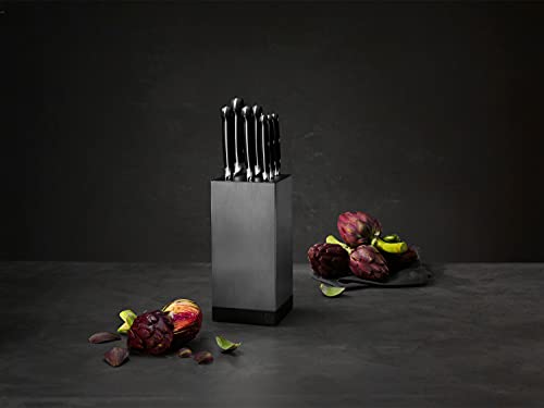 Zwilling Ceppi coltelli blocco alluminio vuoto