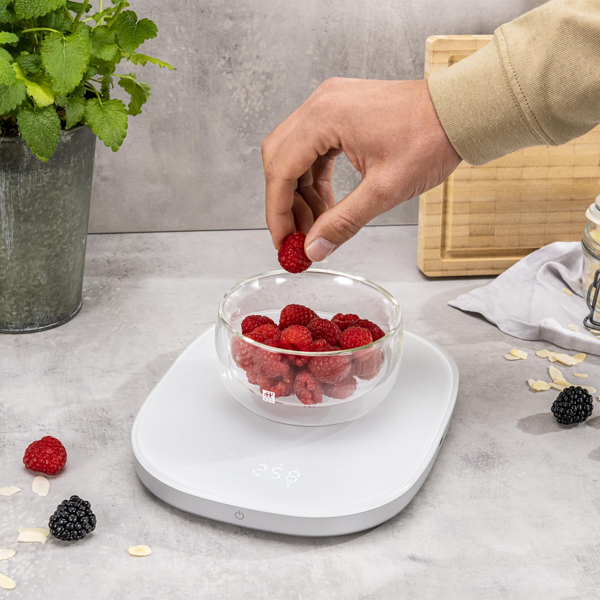 Zwilling Enfinigy bilancia cucina digitale 10 kg bianca