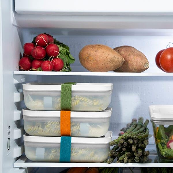 Zwilling Fresh & Save box pranzo grigi 3 pezzi sottovuoto