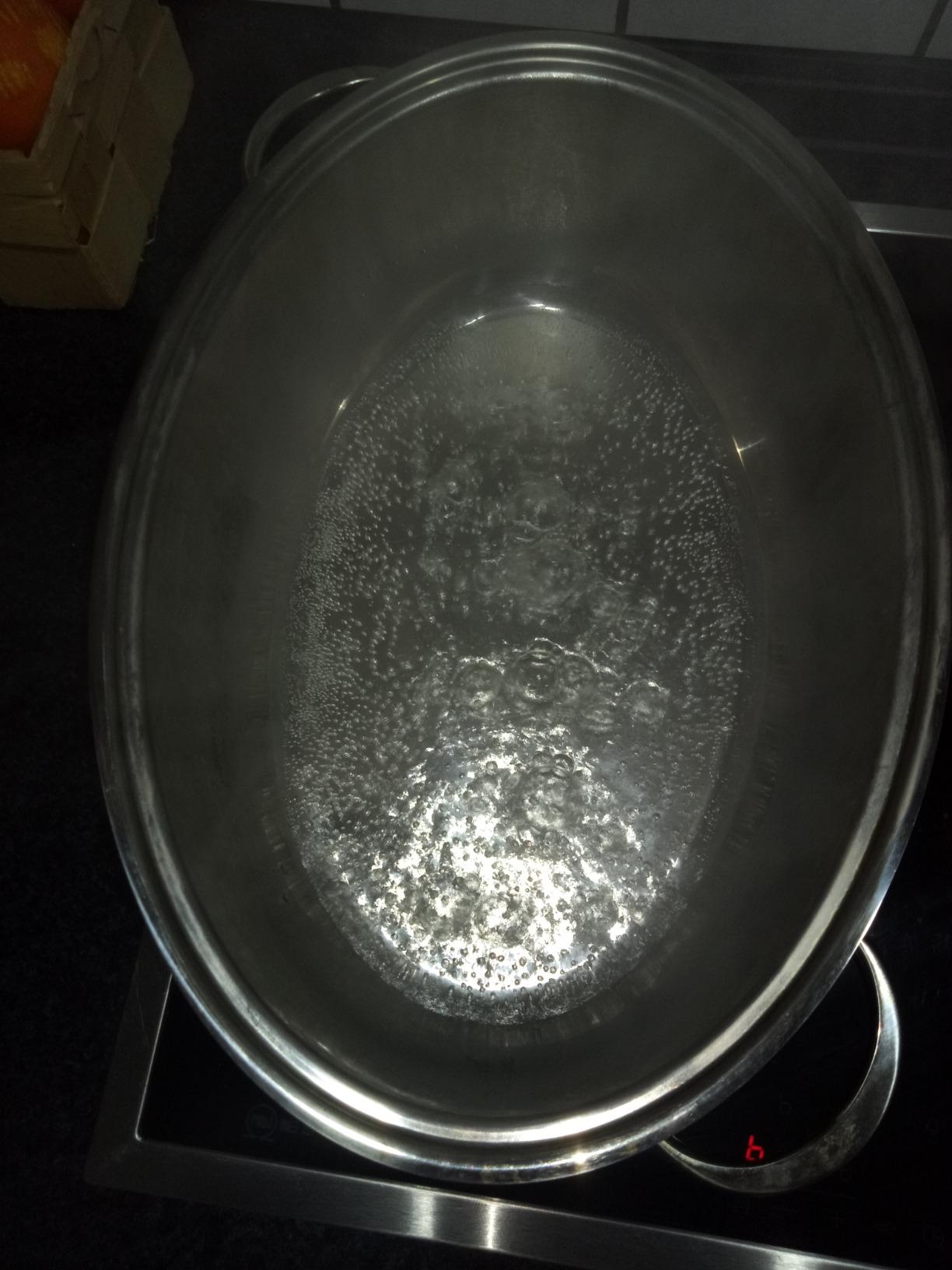 Zwilling Plus rostiera ovale 38 cm 8,5 litri acciaio