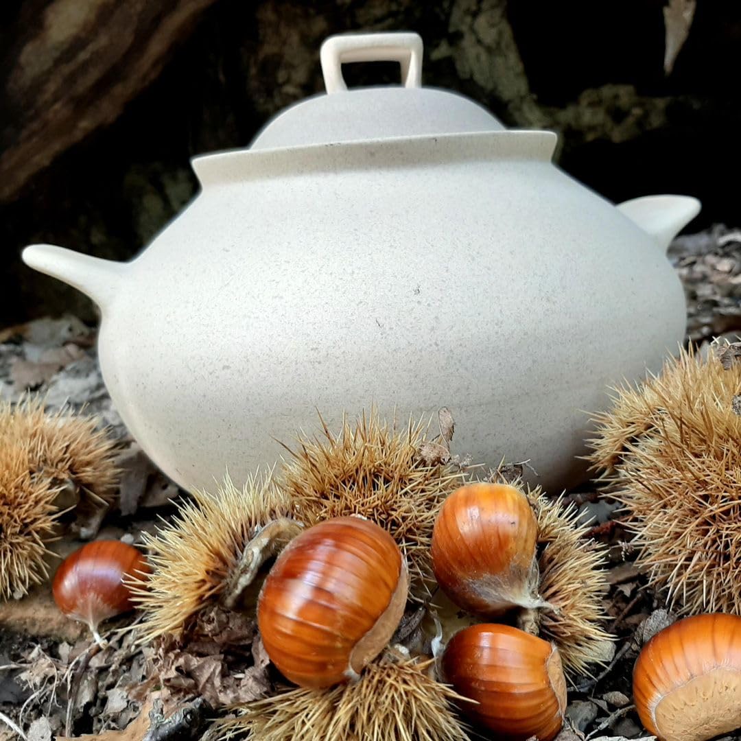 Wald Cottura Cuocipatate Argilla 22 cm con Coperchio