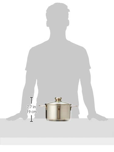 ZWILLING Nova Marmite casseruola 4 l acciaio