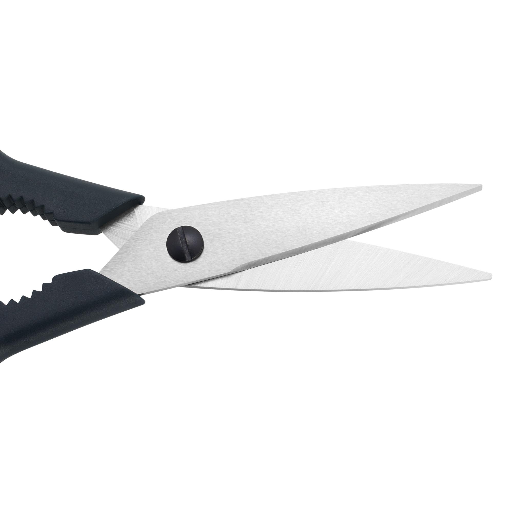Zwilling Now S Forbici Cucina Blu Mirtillo Multiuso Inox